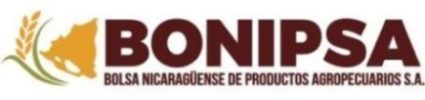 logo bonipsa